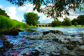 River Boyne, Trim